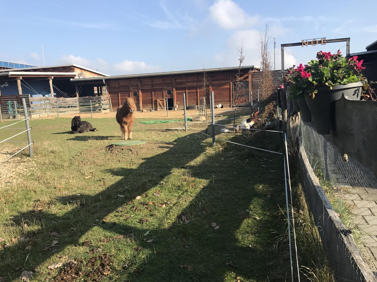 Farma Noe Pension Brezina  Buitenkant foto